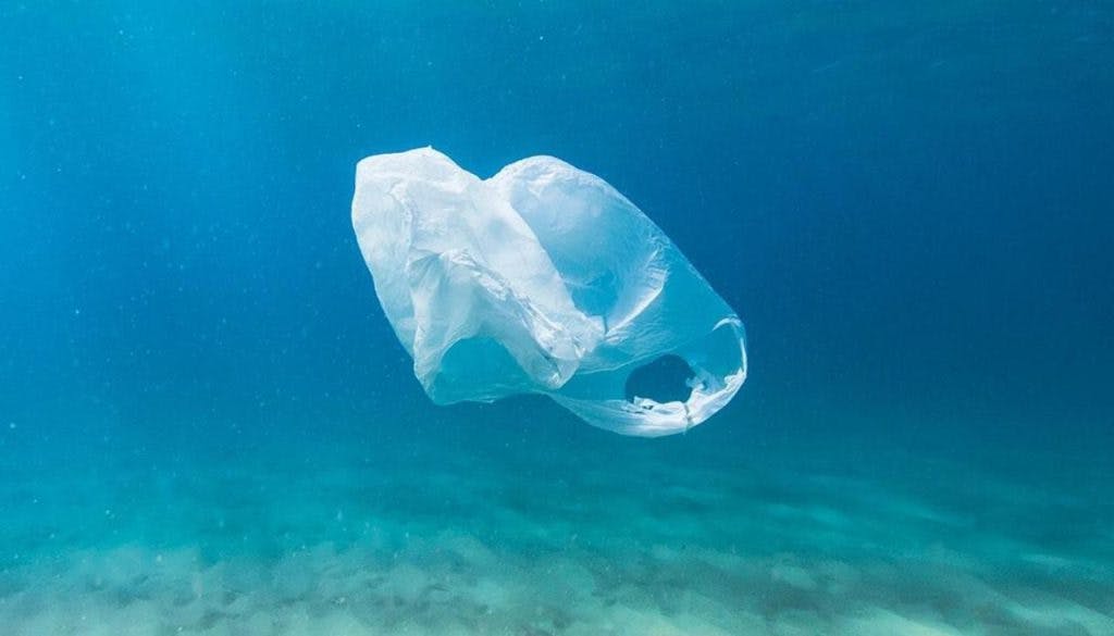 Single-use Plastic Ban