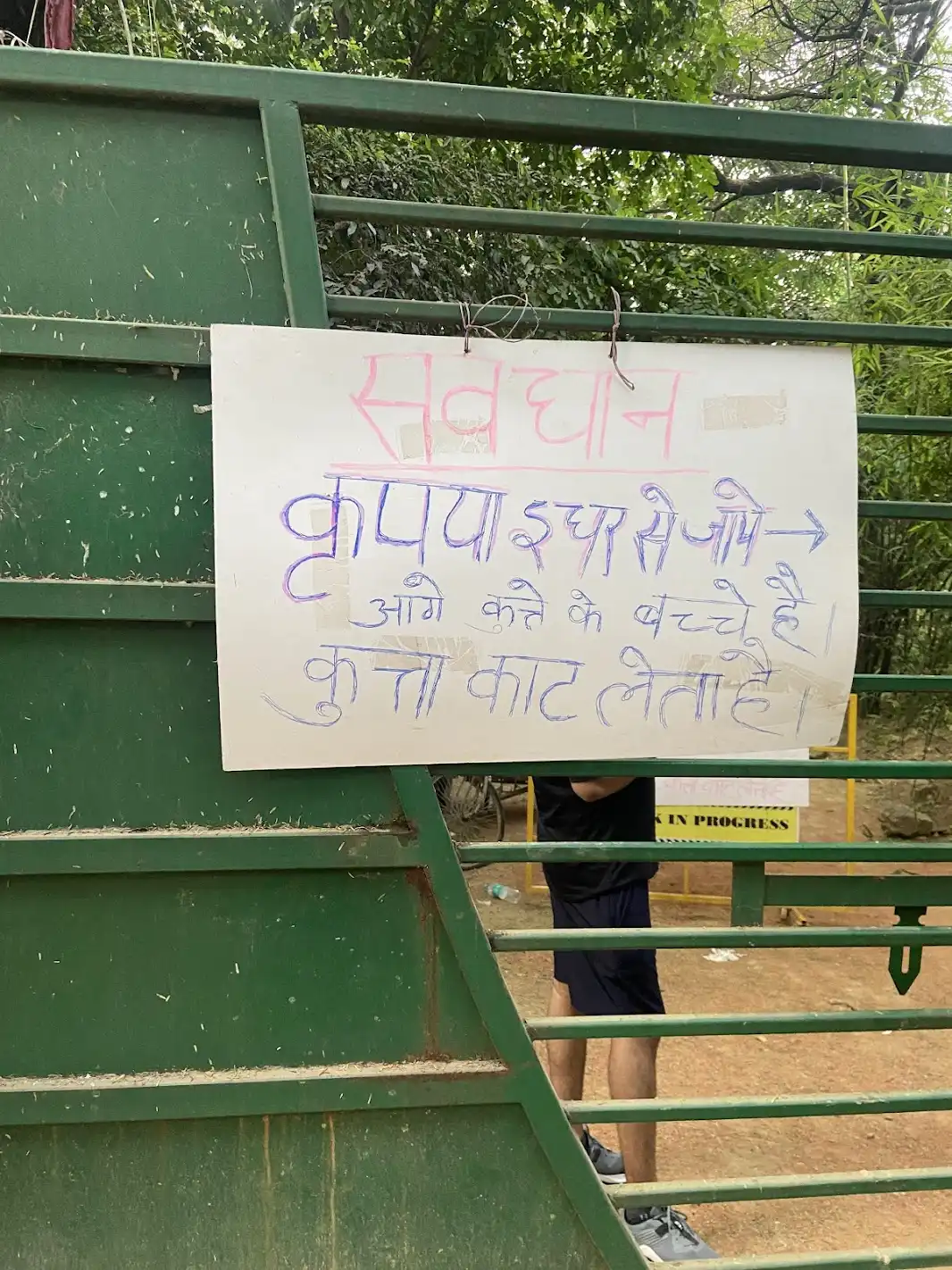 The signboard that made all of us laugh, Translation: take this path; there are puppies ahead, and the dog may bite